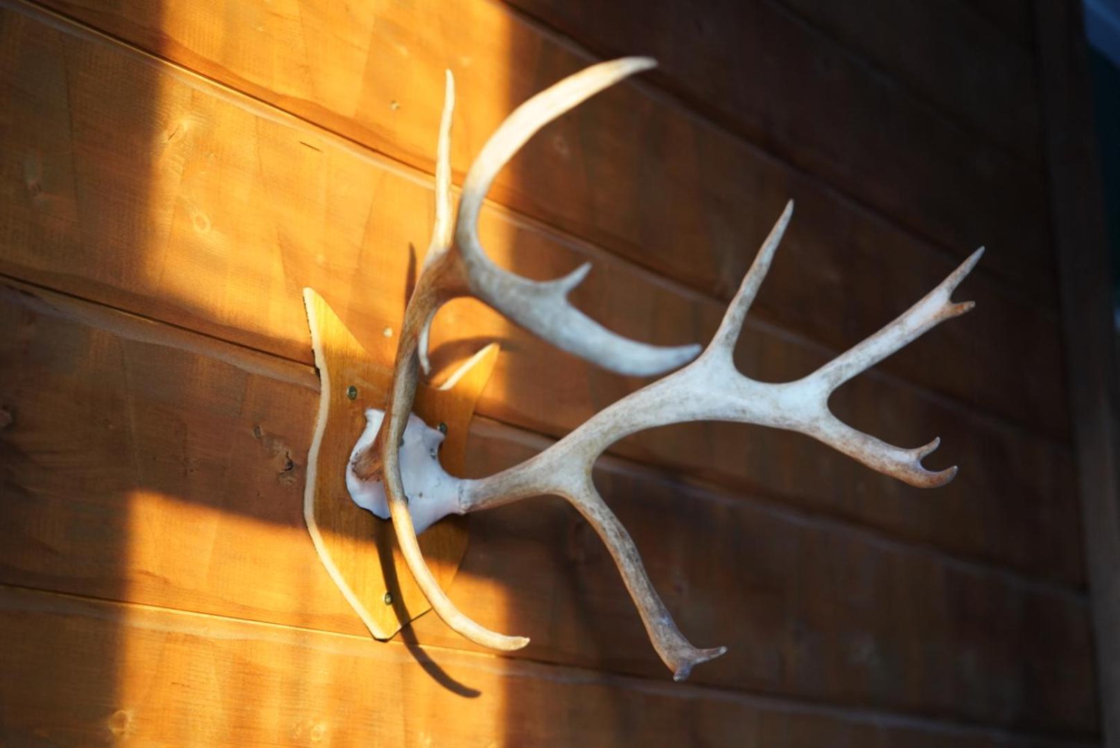 Le Ski Lodge & Steakhouse