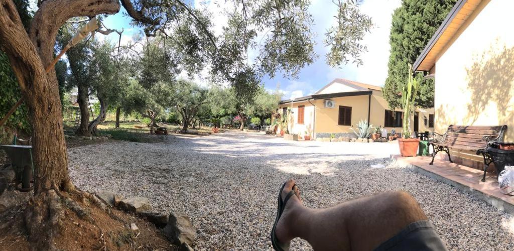 L'Ulivo in Villa Greco