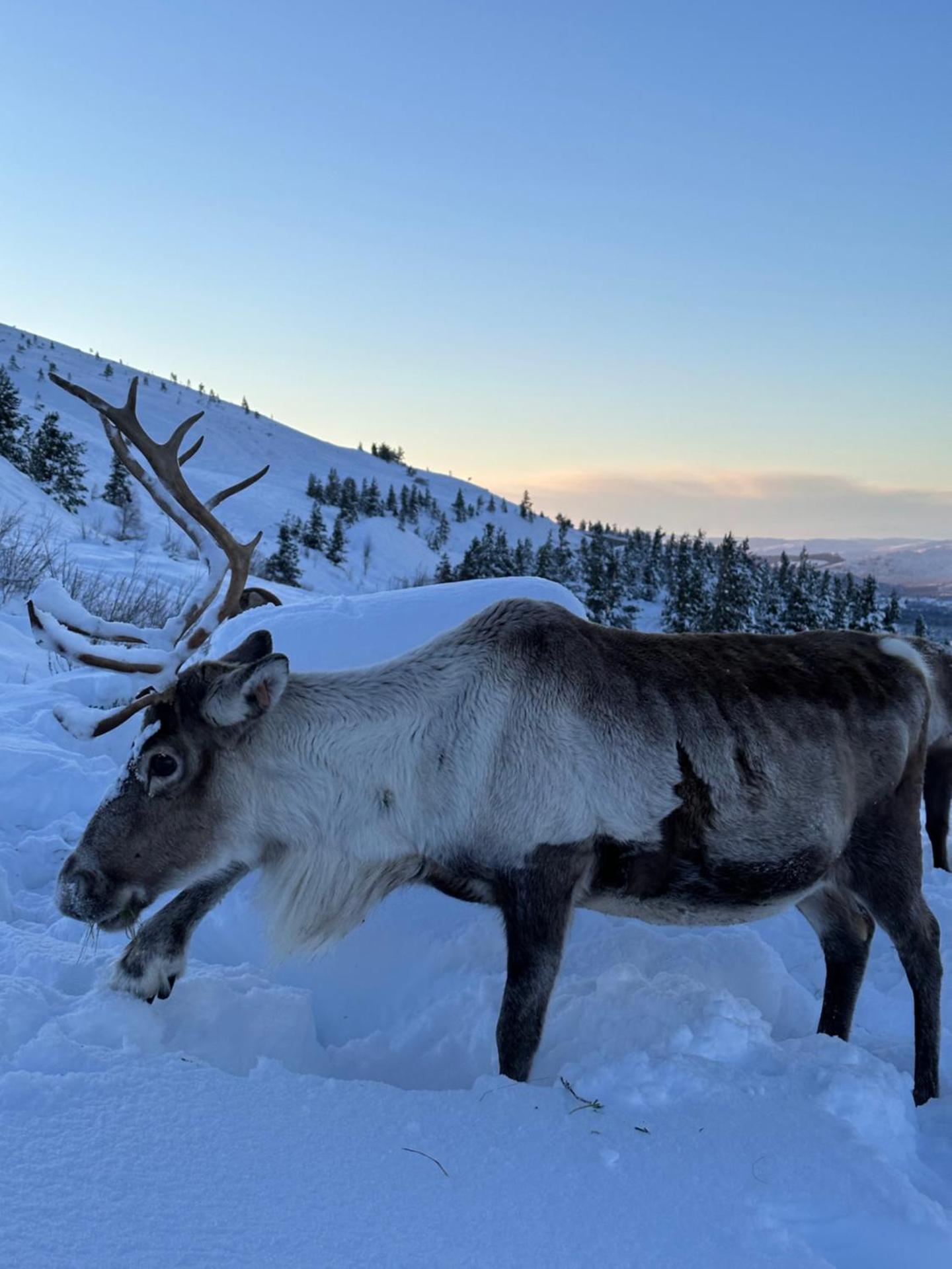 Ravenscraig Guest House