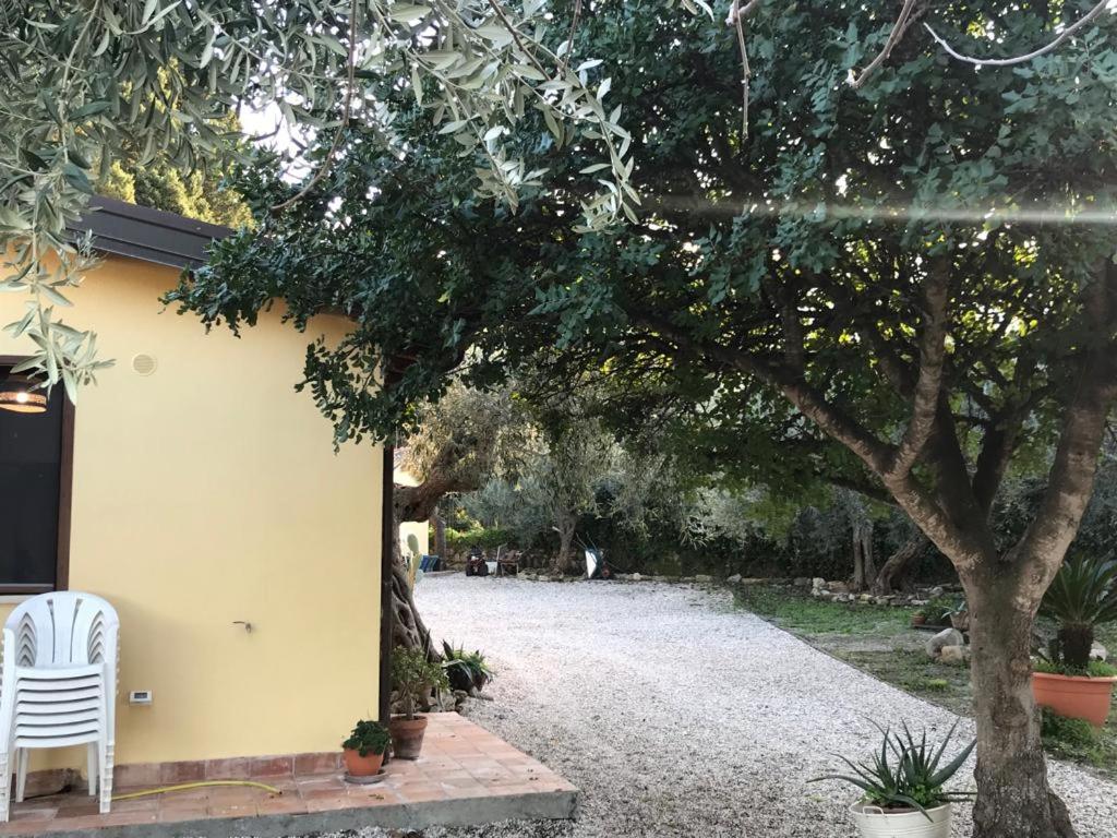 Bouganville in Villa Greco