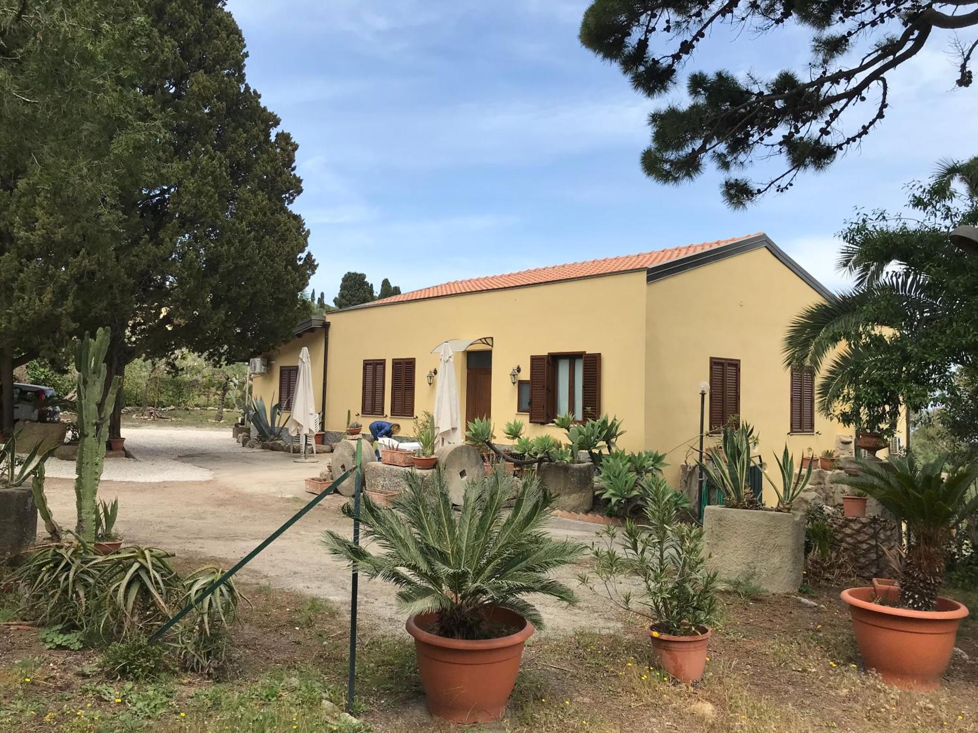 Bouganville in Villa Greco