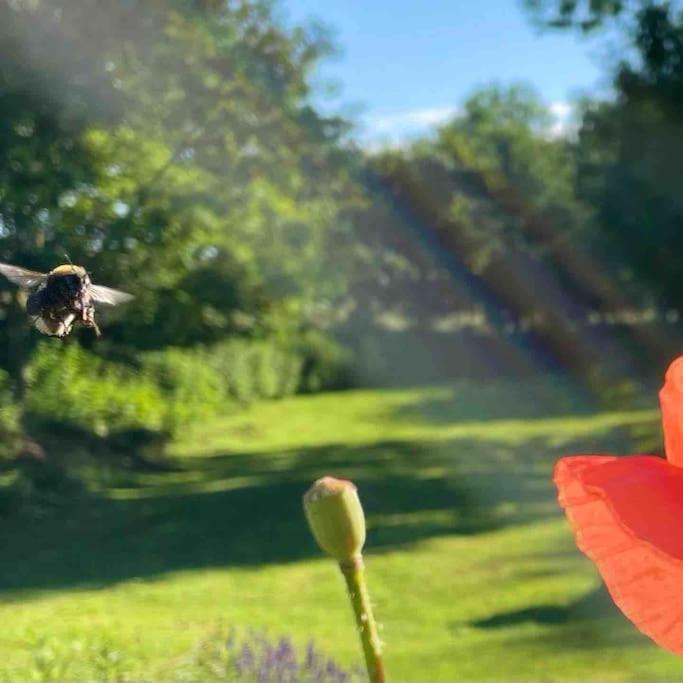 Ferienwohnung mit Luxusbad, Terrasse Ostseenähe
