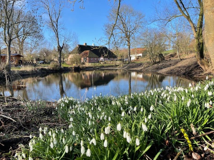 Ferienwohnung mit Luxusbad, Terrasse Ostseenähe