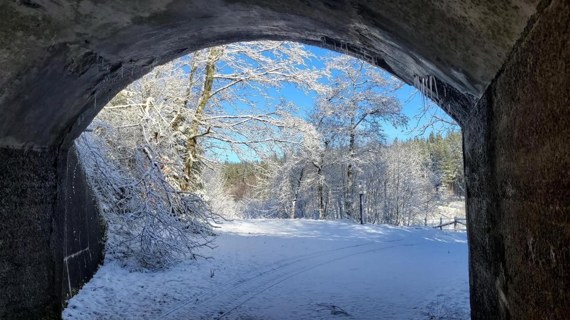 Tiny House - Luxury Cottage