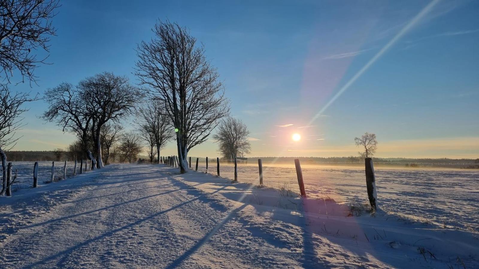 Tiny House - Luxury Cottage