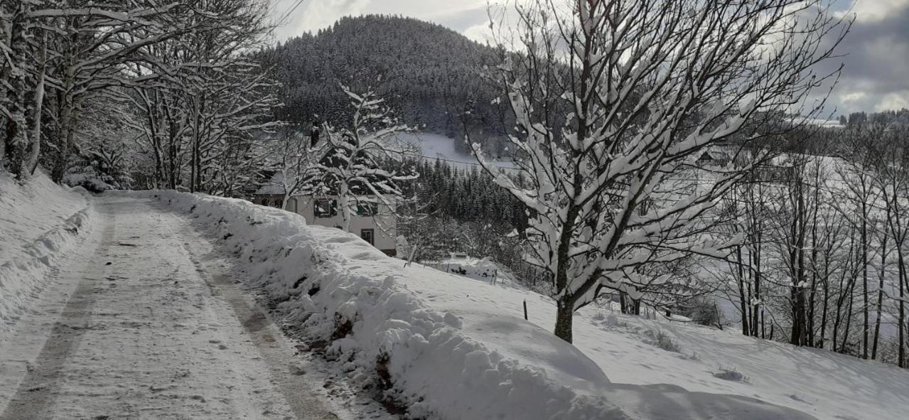 NORDIQUES DE LA WELCHE