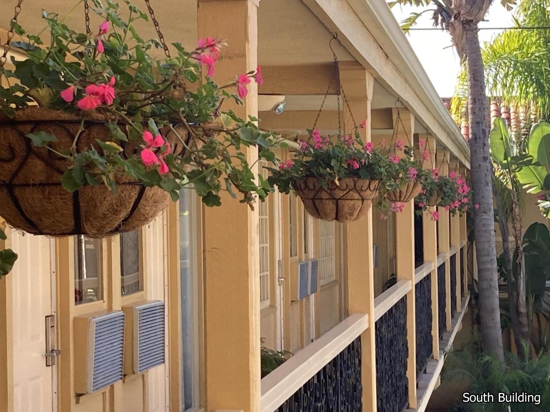 Inner courtyard view