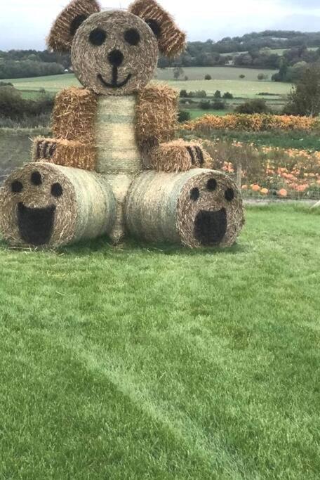 'Mill Cottage' Parbold