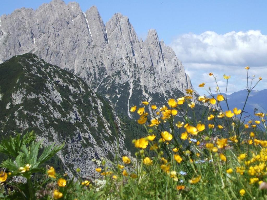 Martins Comfort Appartement