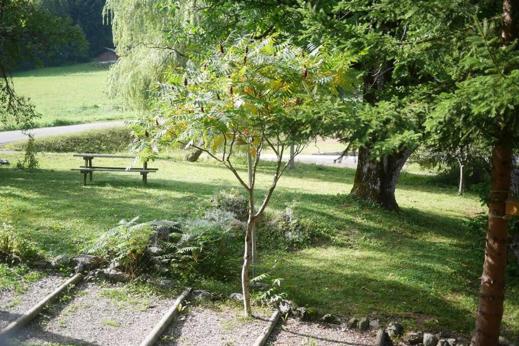 Chalet-Sixtine A large family chalet of 600m2 near La Clusaz