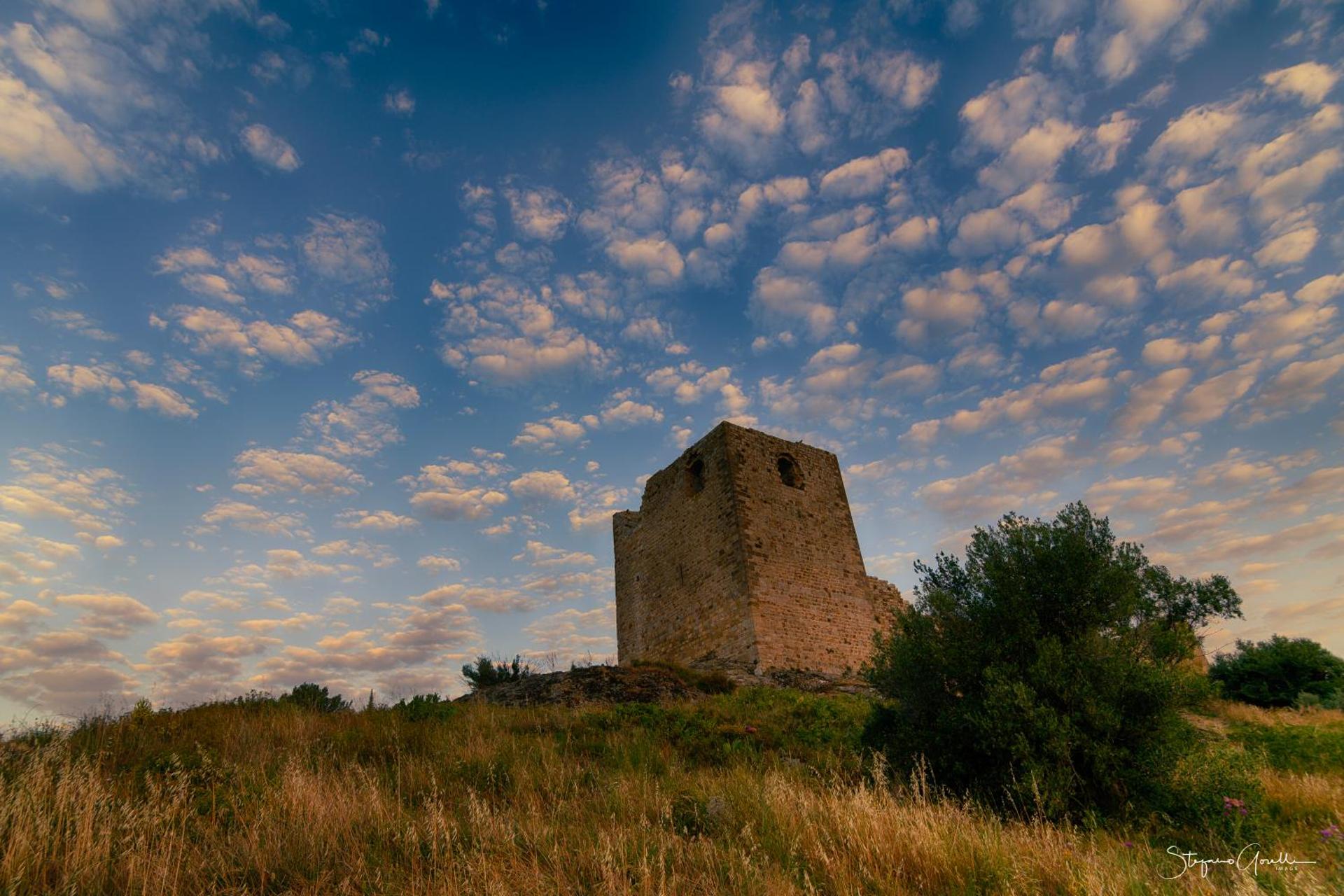 diVO Little Boutique Home