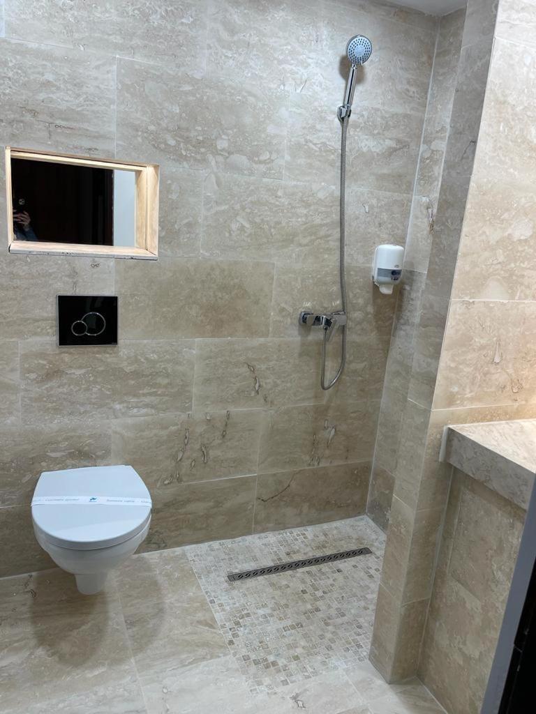 Pension Domeniul Regilor