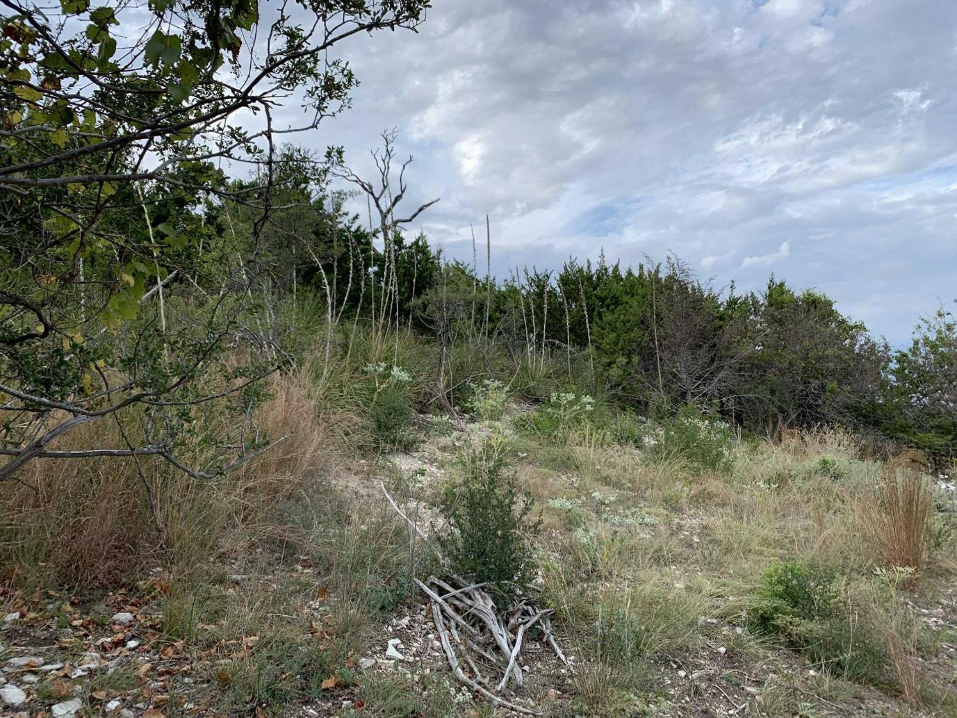 Artesia Hilltop Cabin