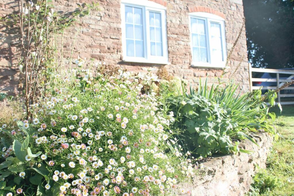 Pump Cottage - Cosy Herefordshire Cottage