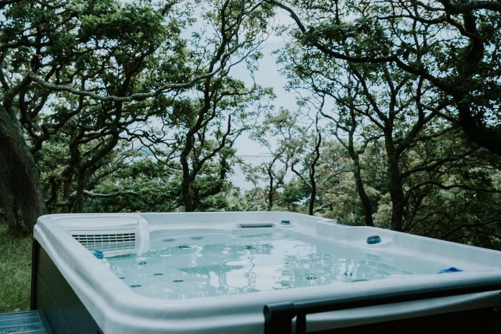 Snowdonia Mawddach Cabin and hot tub Glamping