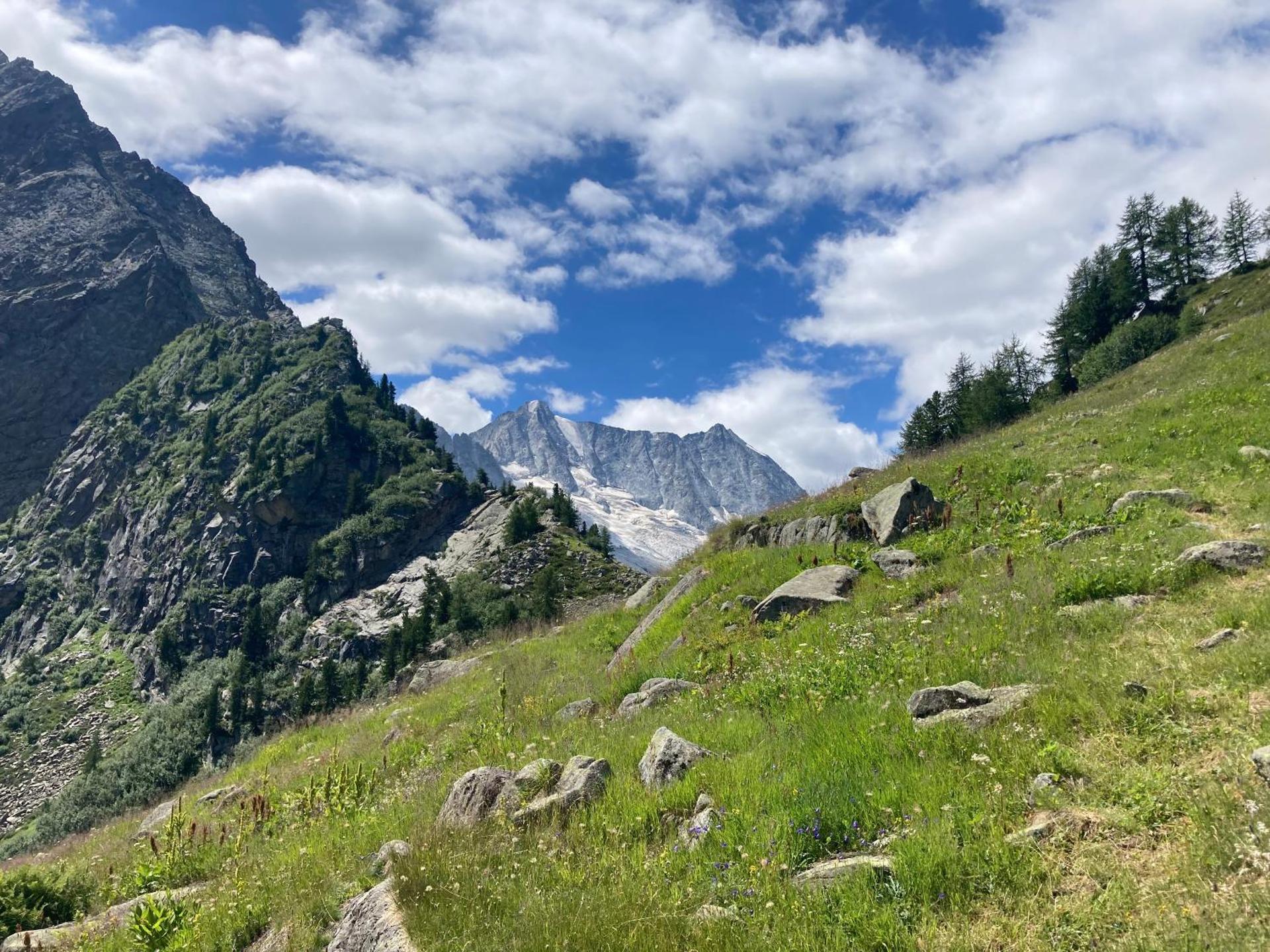 Appartamento Eleonora