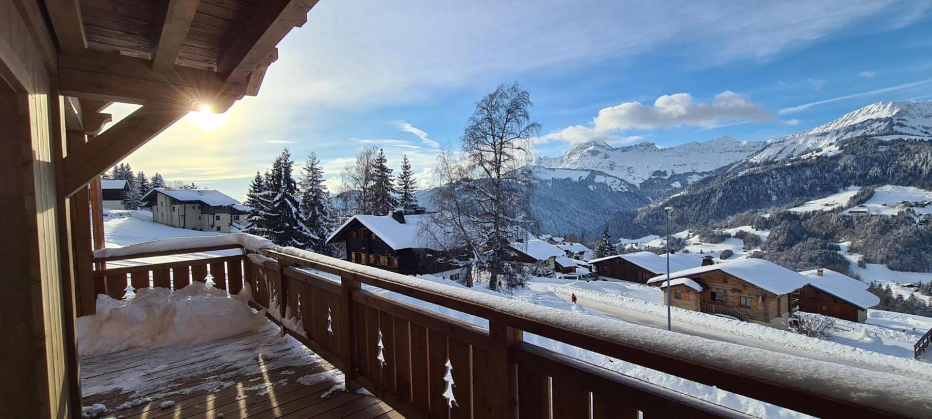 Magnifique appartement dans luxueux chalet - ARAVIS
