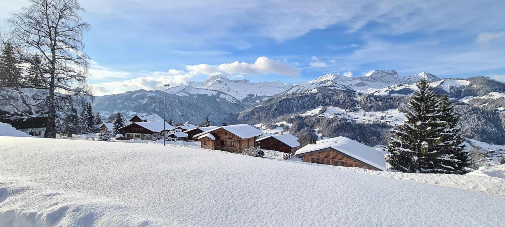 Magnifique appartement dans luxueux chalet - ARAVIS