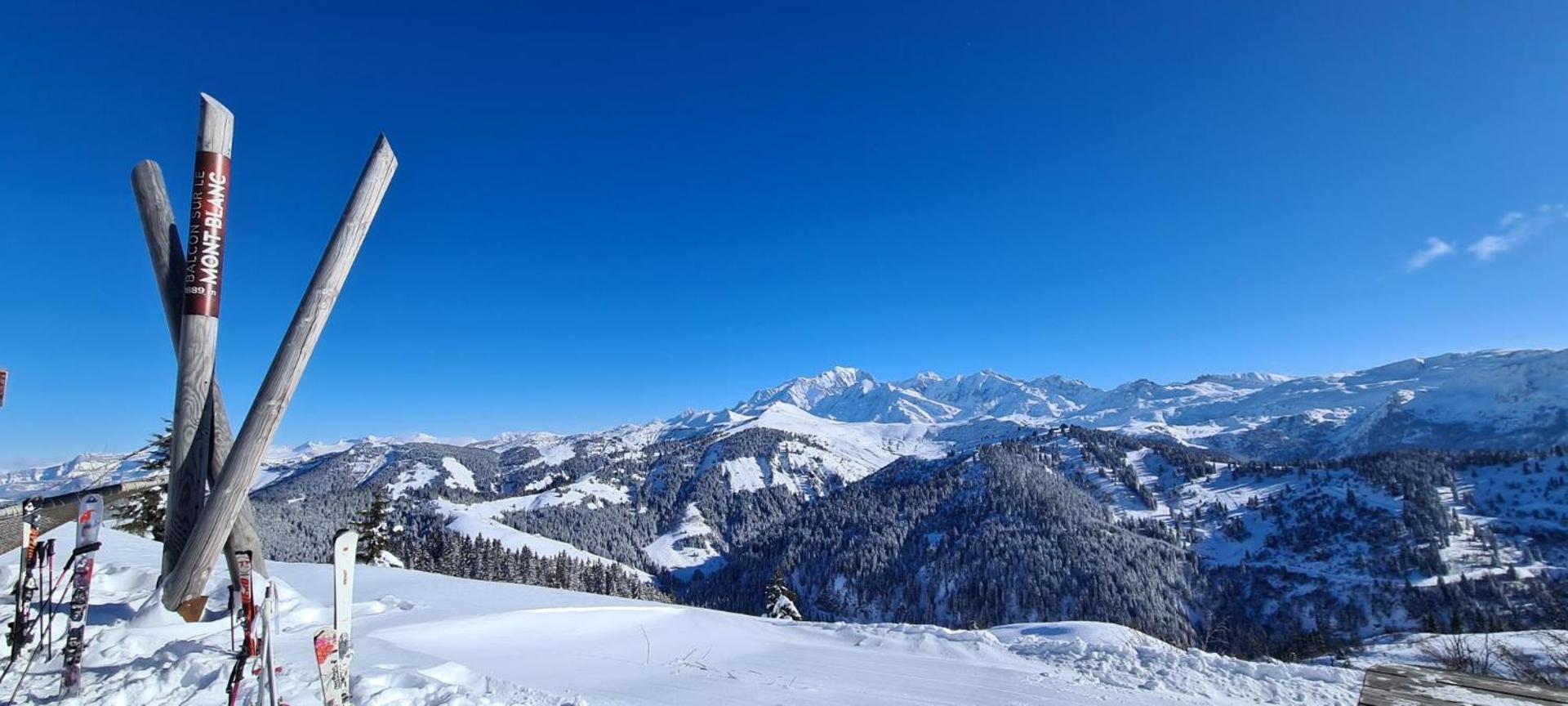 Magnifique appartement dans luxueux chalet - ARAVIS