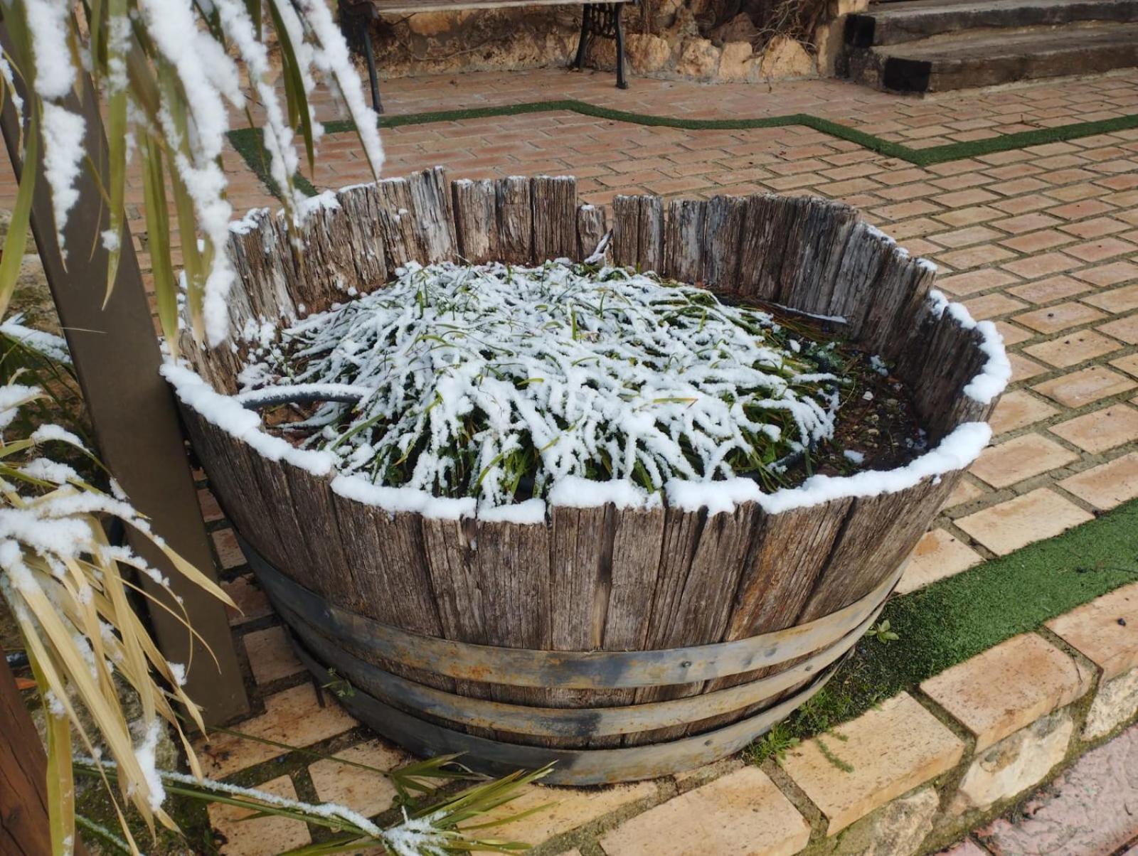 El Quinto Pino Riópar