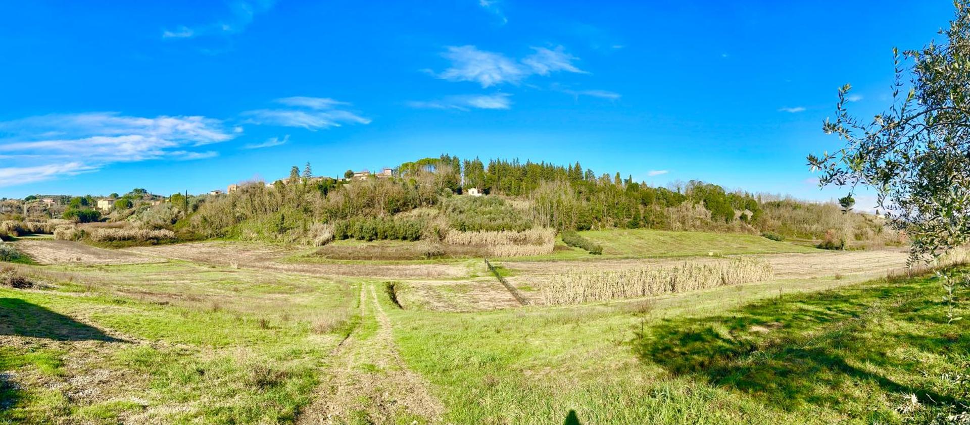 I Girasoli di Lari - Bilocale La Margherita