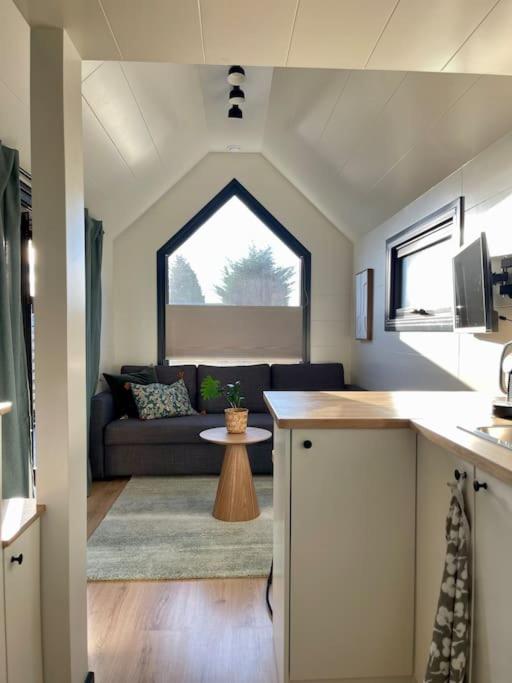 Tiny house with sauna & jacuzzi near Amsterdam