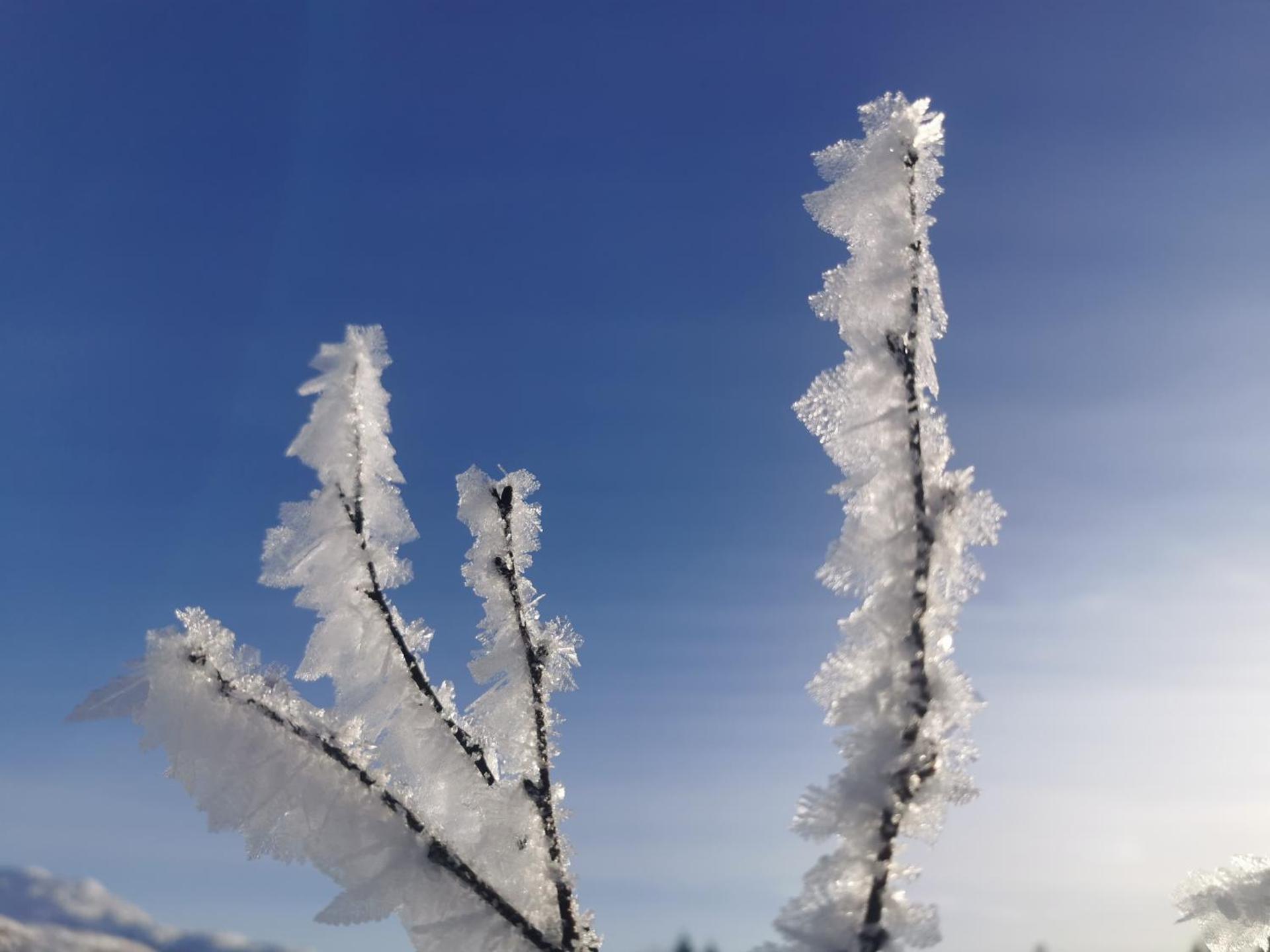 Tangen - cabin with 4 bedrooms - great nature