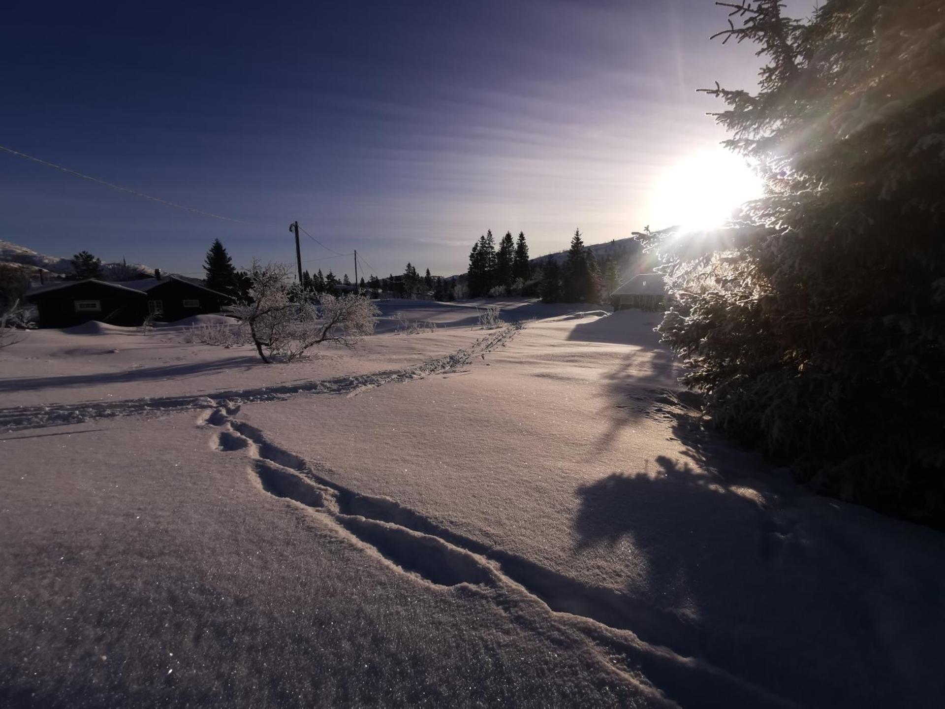 Tangen - cabin with 4 bedrooms - great nature