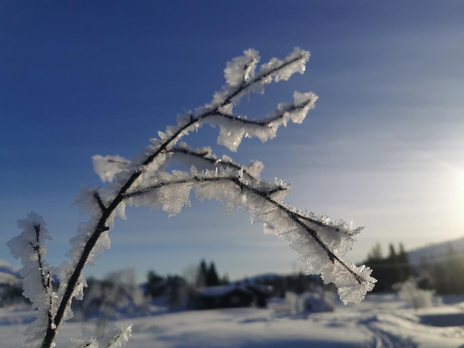 Tangen - cabin with 4 bedrooms - great nature