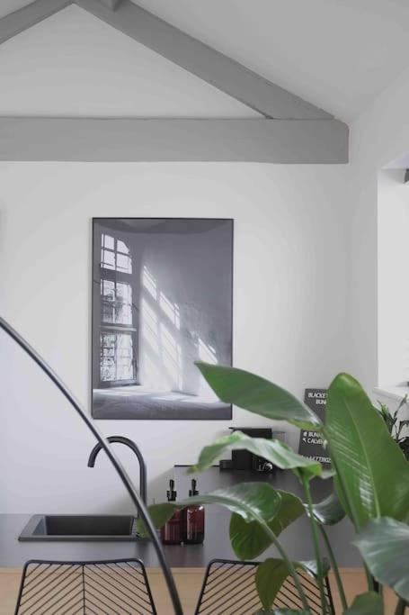 Blackett Street Bunkhouse