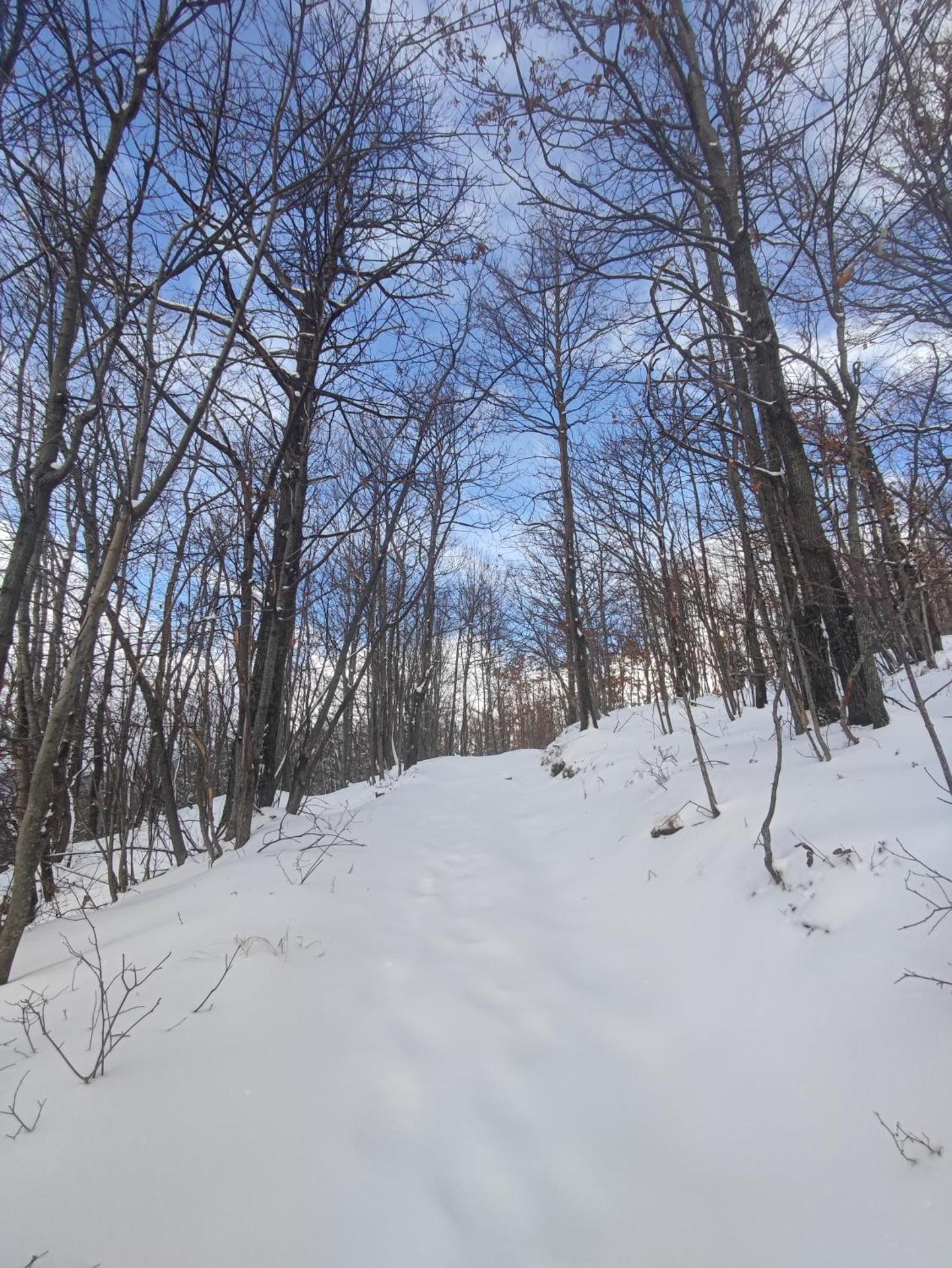 Agriturismo il fosso