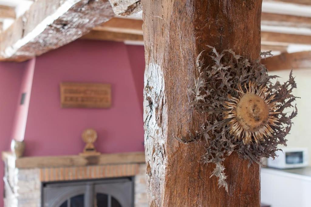 Casa rural Enekoizar