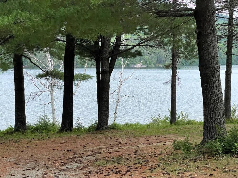 Micro maison le Nordik