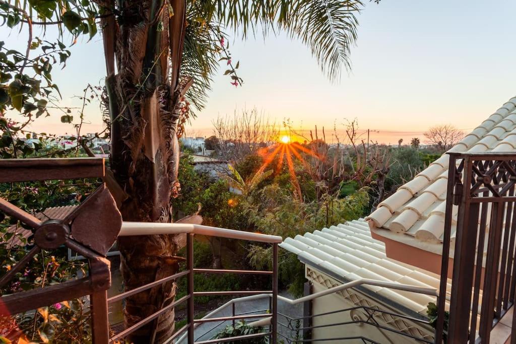 bougainvillea house 2