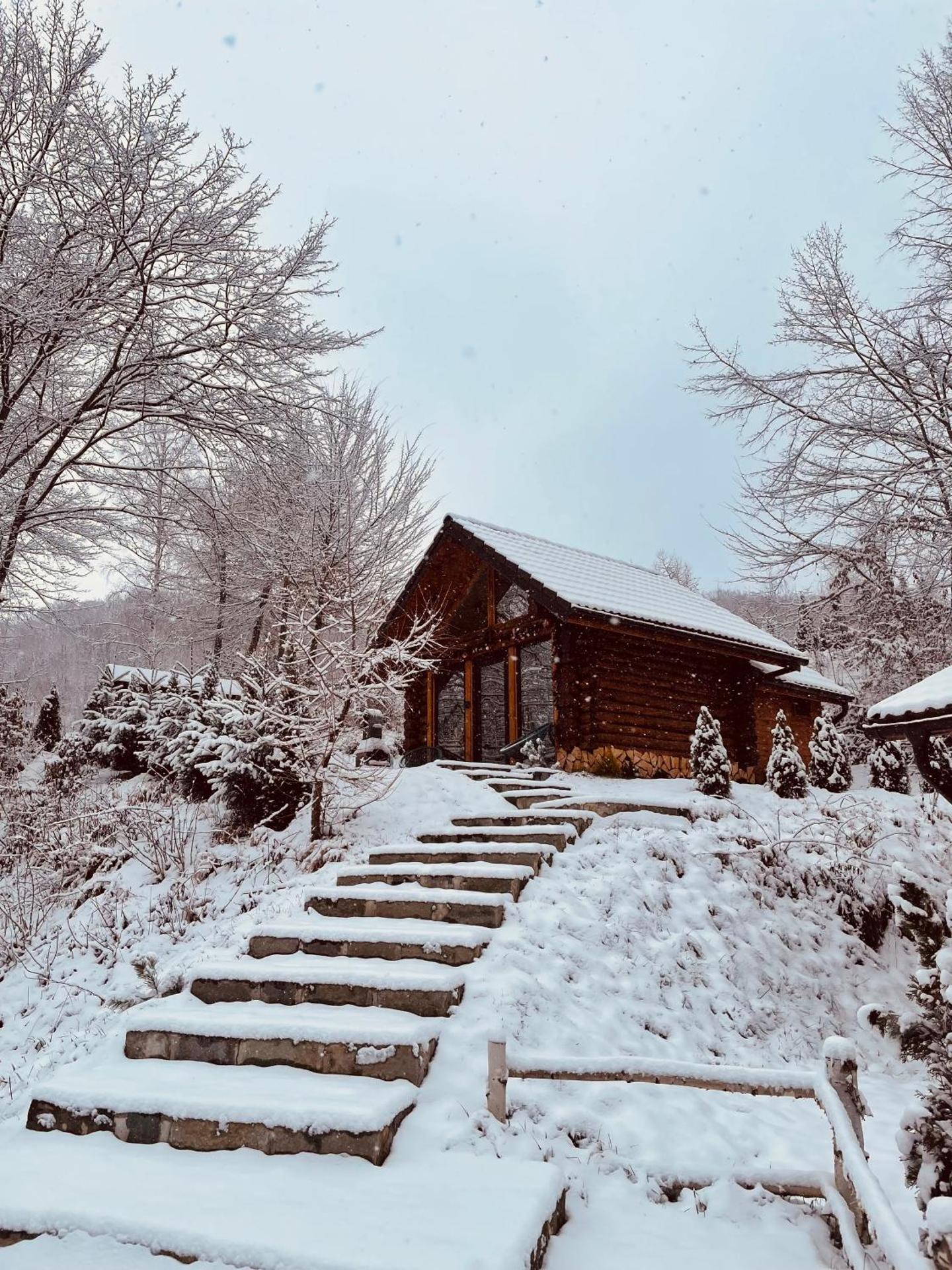 Cabana din Groapa Frumoasa