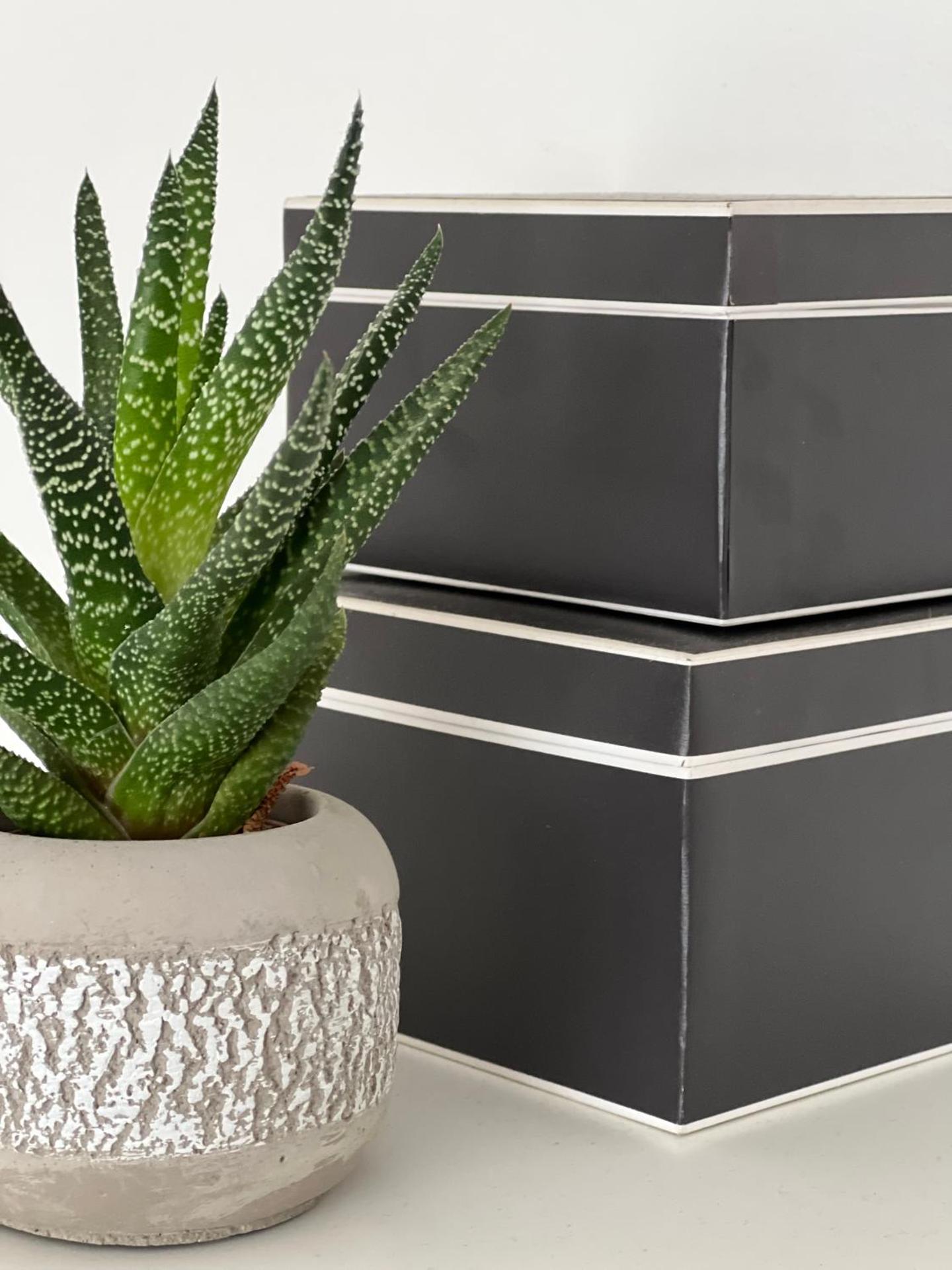 Modernes, mediales Apartment, Nähe der Neuen Leipziger Messe, bis vier Personen