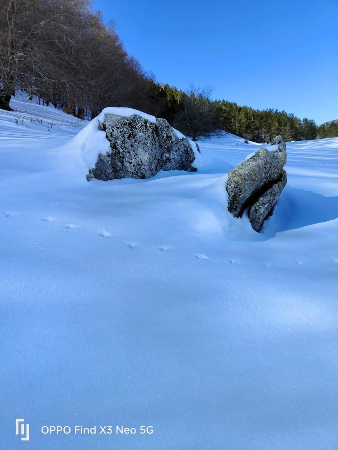 Lo chalet Biancaneve
