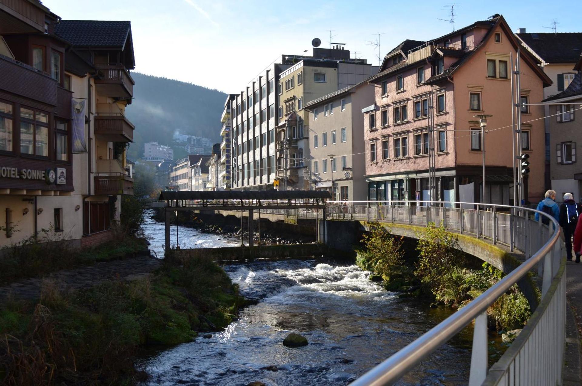 Ferienwohnung Wildbad Süd