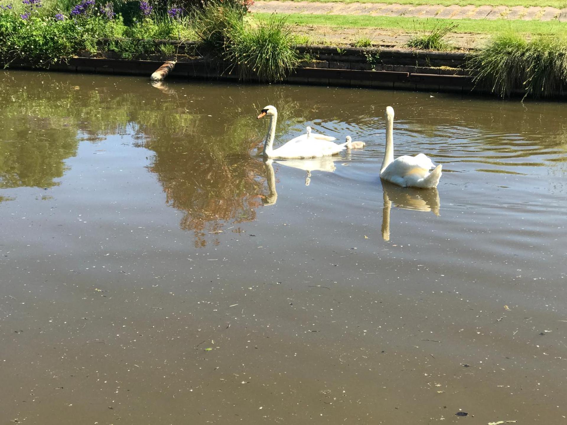 The Stables and Granary at Shawbroom Farm
