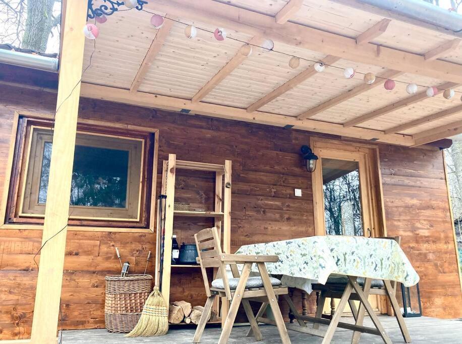 Cinke cottage, nest in nature