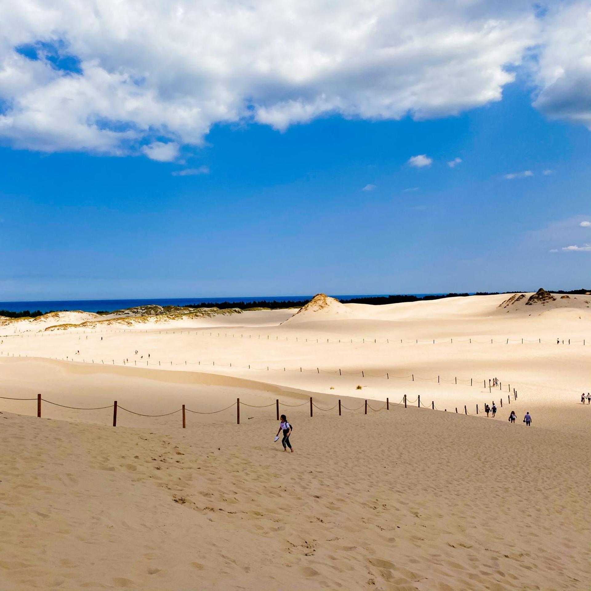 Apartament Pod Papugami w Porto Łeba