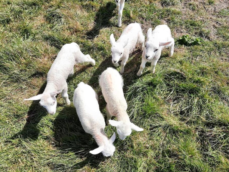 Country cottage Anna Paulowna, self checkin