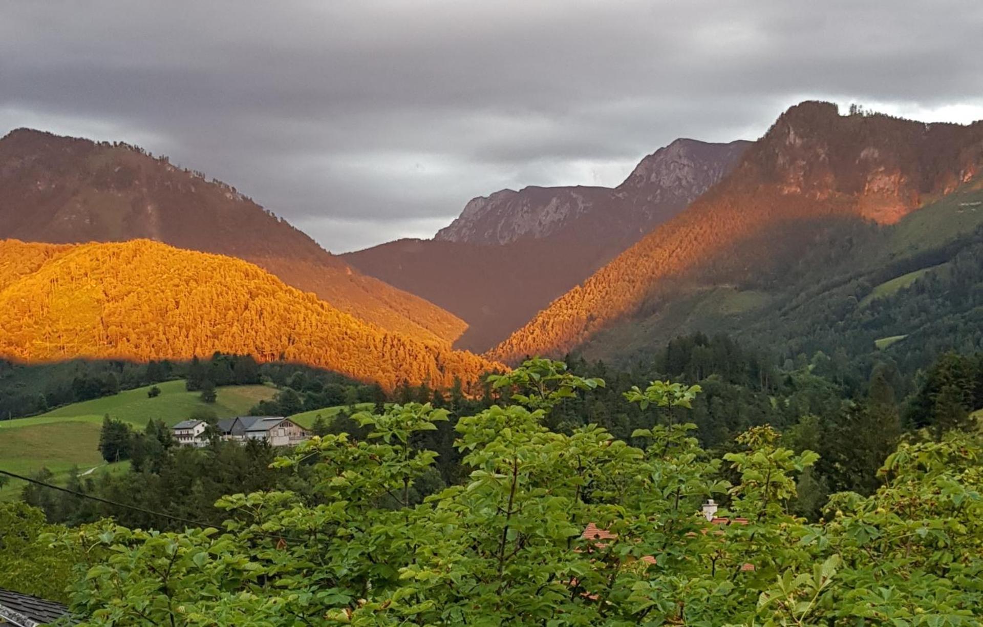 View (from property/room)