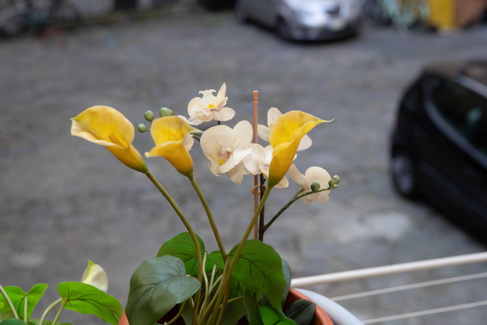 Appartamenti Mazzini