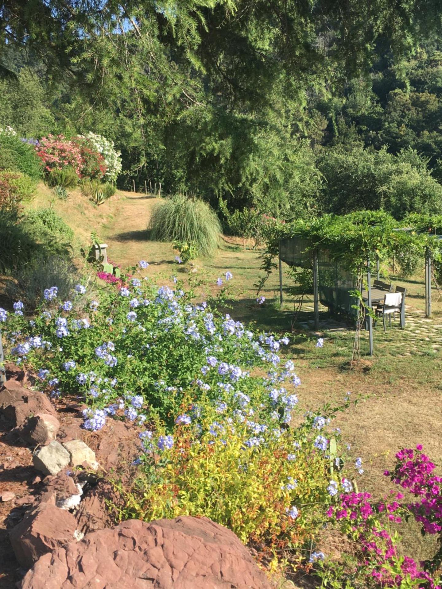 New penthouse - Cinque Terre, Tuscany, Liguria, Lerici #4