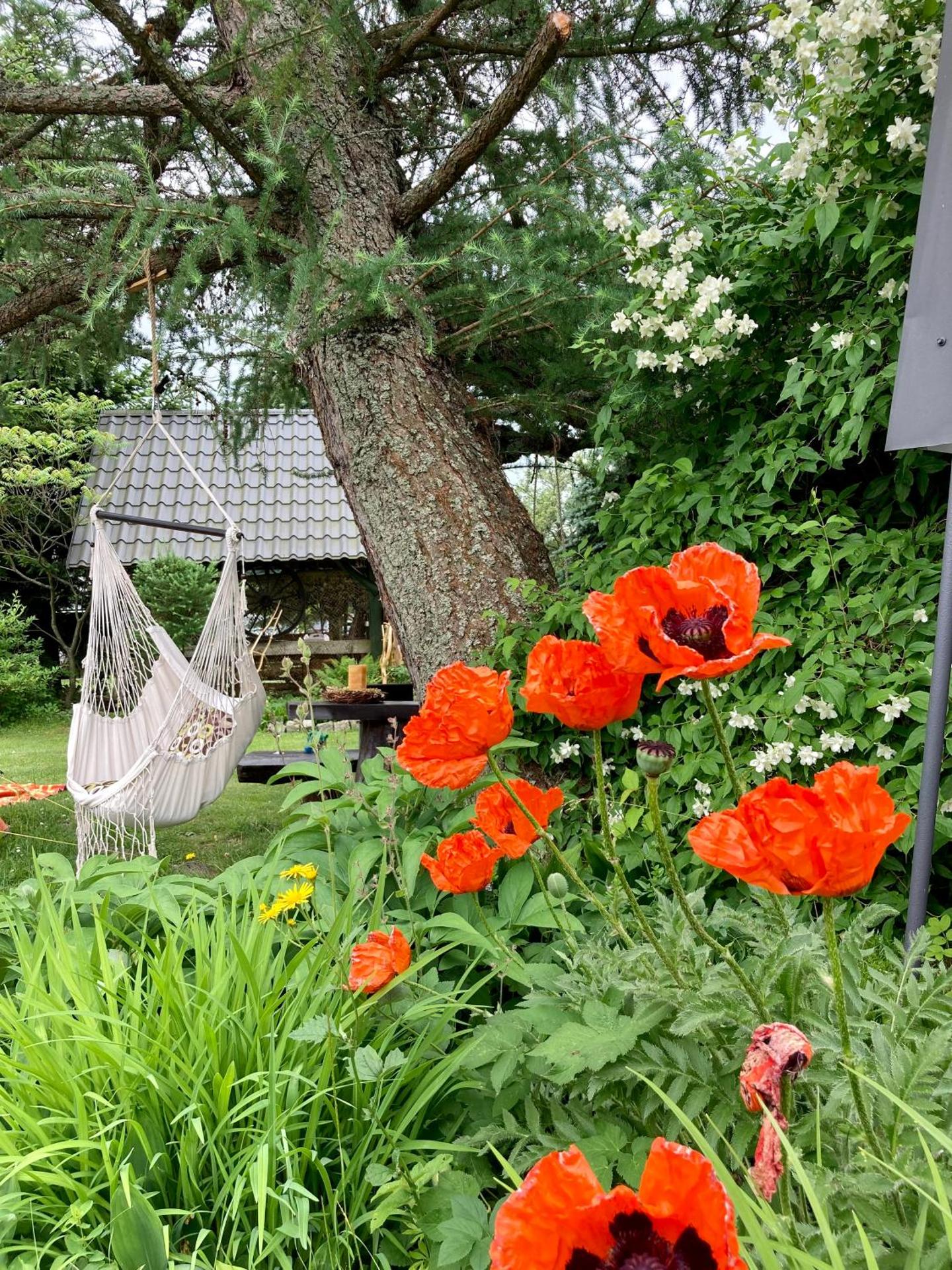 Agroturystyka Pod Modrzewiem - Babia Góra