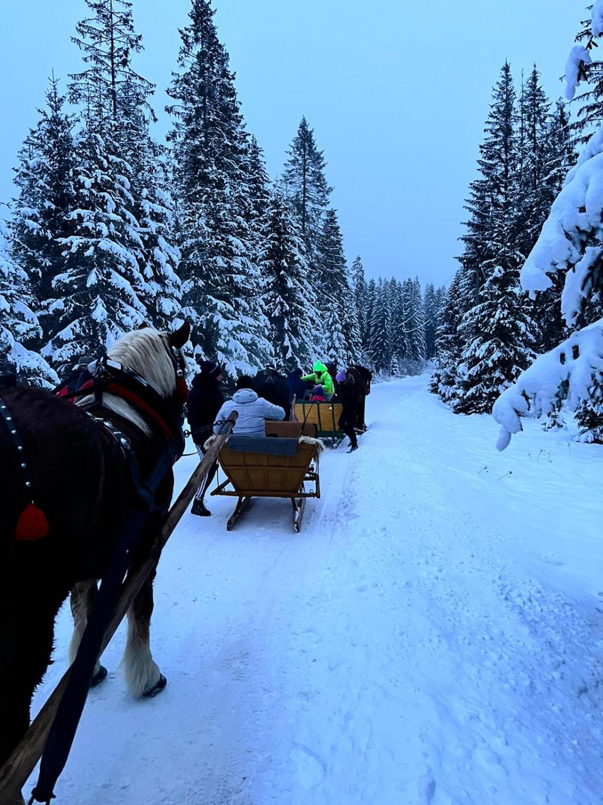 Agroturystyka Pod Modrzewiem - Babia Góra