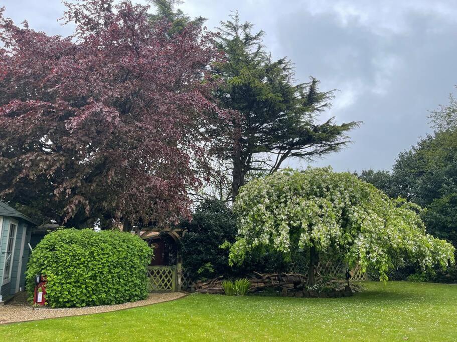 Cosy Cabin, hidden from the main house - Sleeps 2 - EV