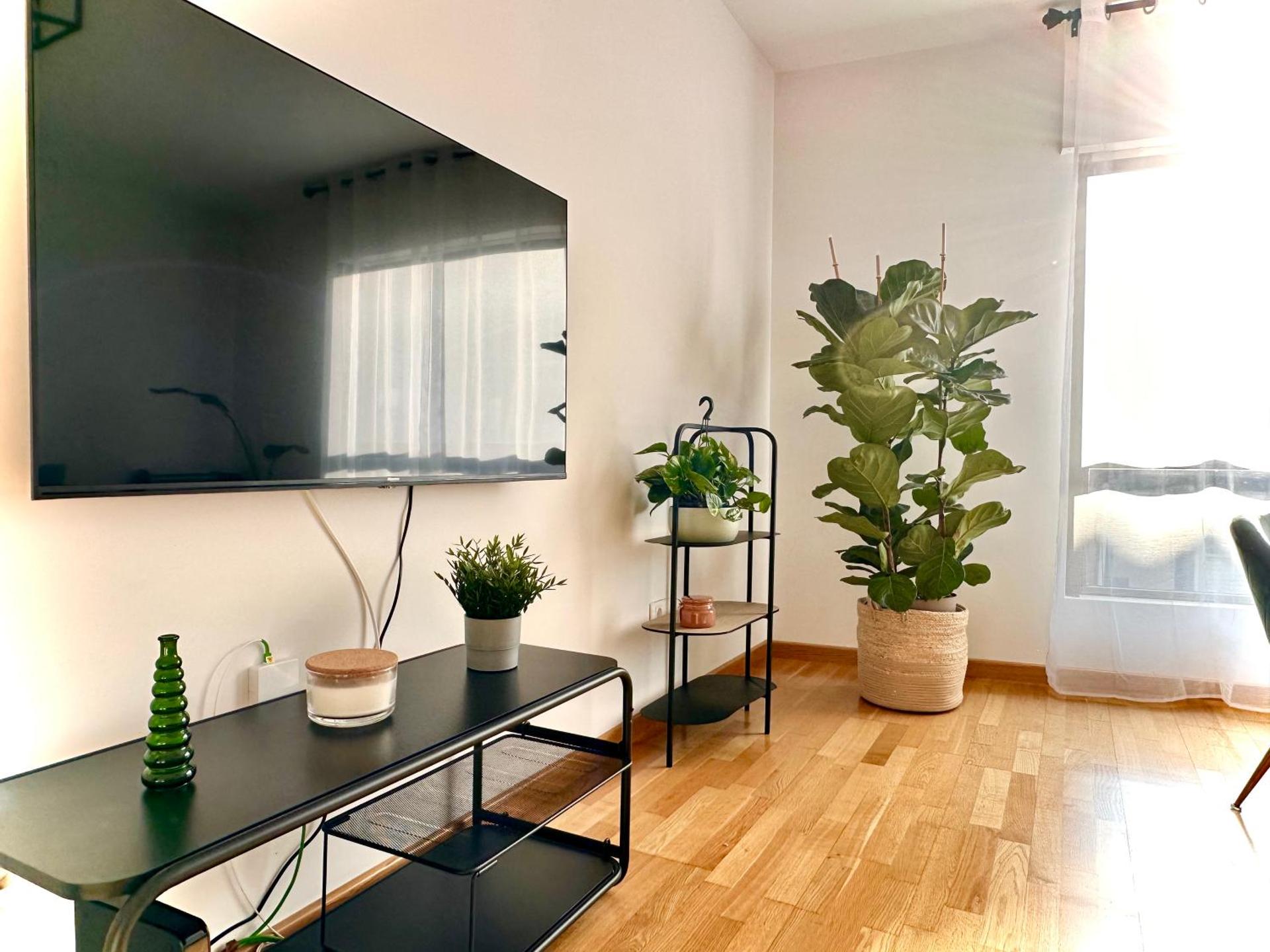 Oktheway Pedro Saco Street 2