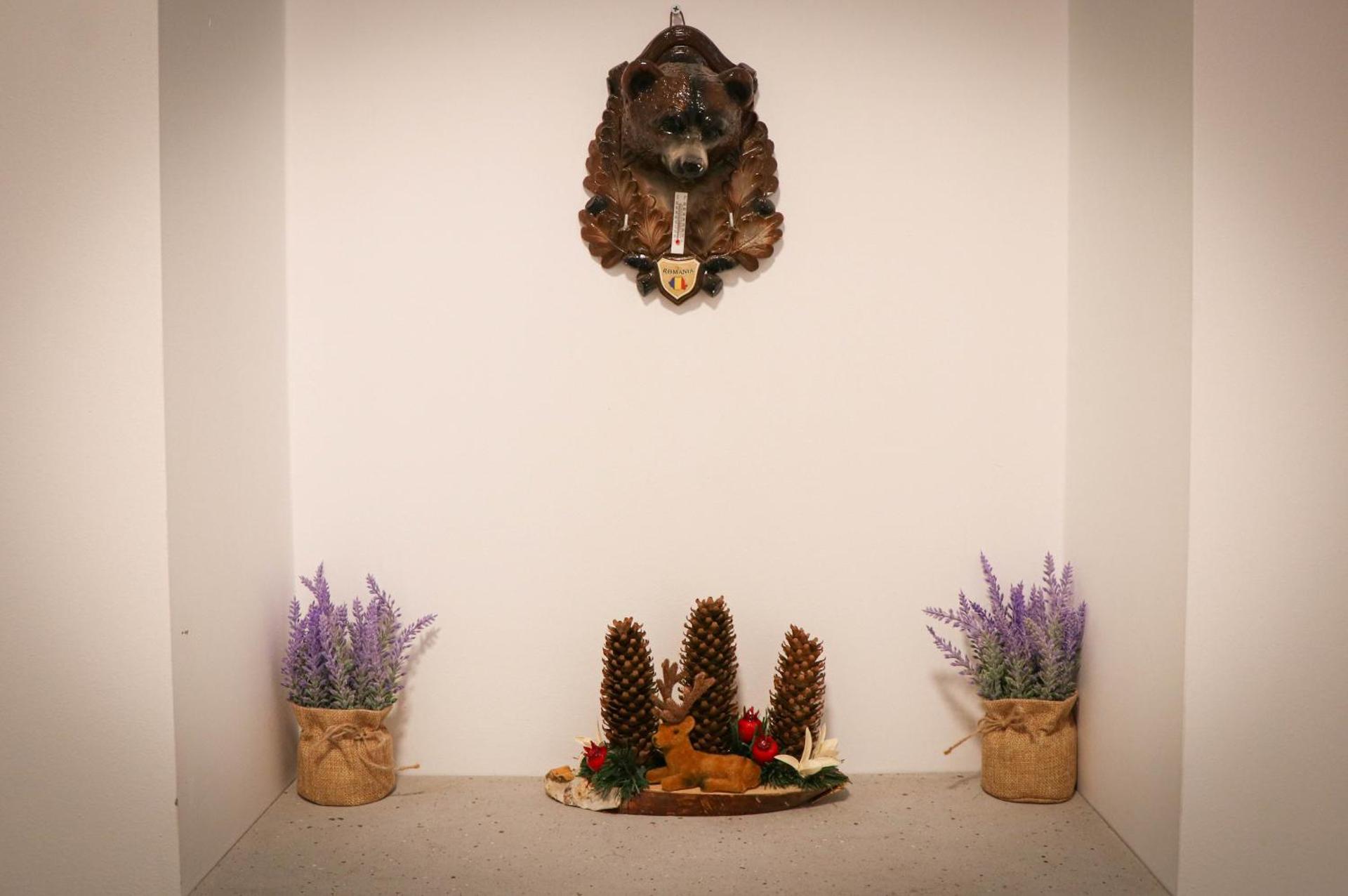 Casa de oaspeti Kinga's Crown